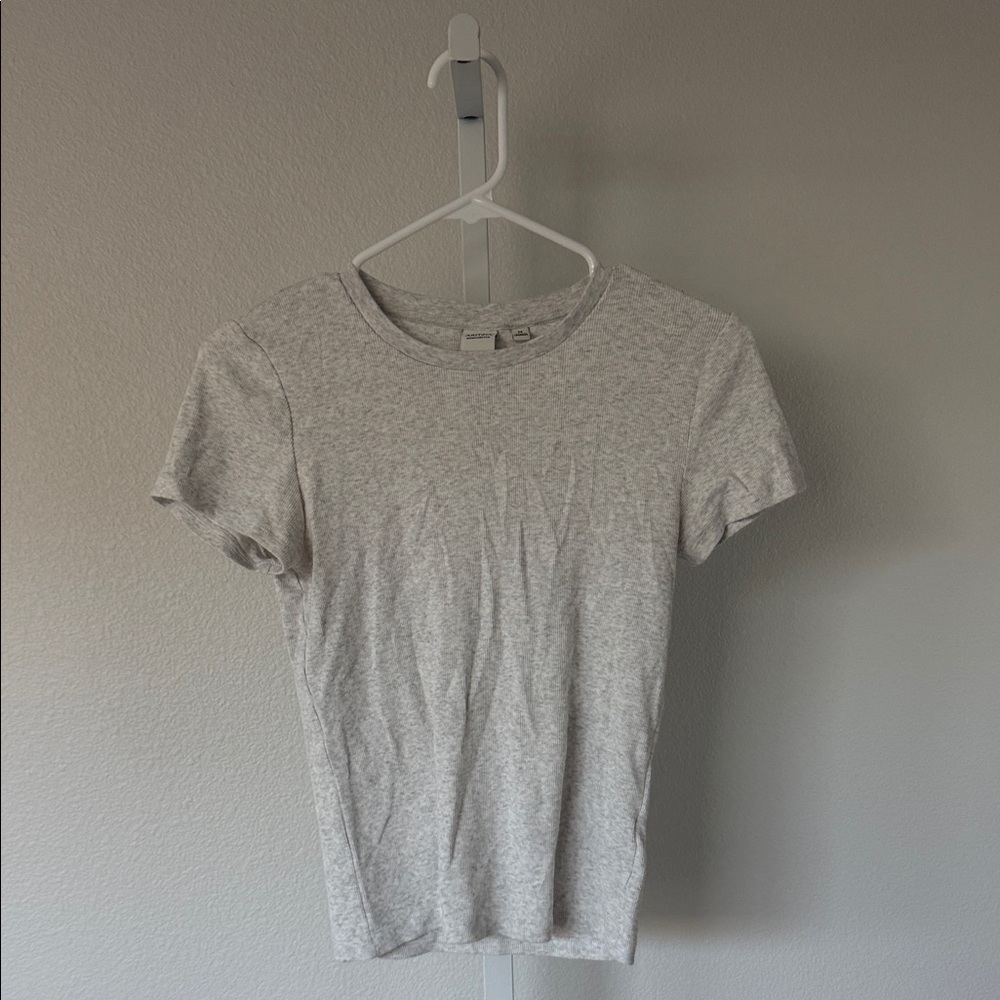 Aritzia Homestretch Baby Tee